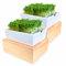 gooware DOPPELSET - Kresse Anzucht Keimschale indoor mit Bio Kresse Samen, Bio Broccoli Samen, Keramikschale und formschöner Design-Holzaufnahme zur Aufbewahrung Deines Saatgutes