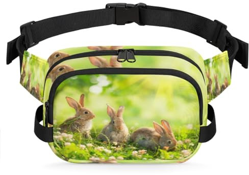 Spring Bunny Hüfttasche, Multifunktionspackung für Reisen, Sport, Laufen, niedliches Häschen, Bauchtasche, Geldbörse, Gürteltasche für Damen, Herren, Mädchen, Jungen, farbe, XL, Taschen-Organizer