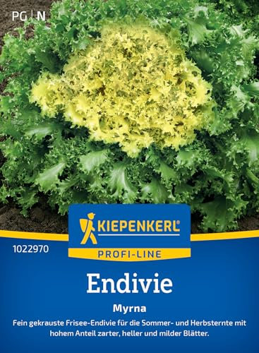 Kiepenkerl Profi-Line Endiviensamen Myrna 1022970 - Fein gekrauste Frisee-Endivie, ideal für Salat und kreative Gerichte, hochwertige Gemüsesamen für 100 Pflanzen
