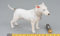 ximitoy DID 1/6 Soldat Bullterrier Hund für 30,5 cm