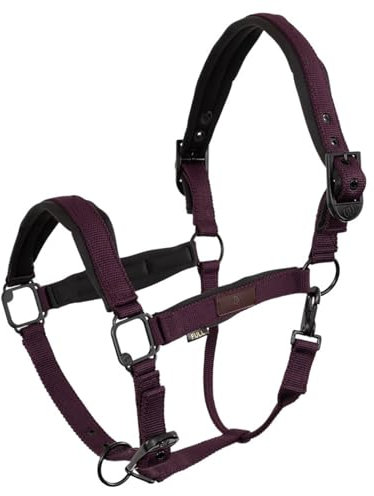 BR Halfter Fedde Dunkellila - Full/WB