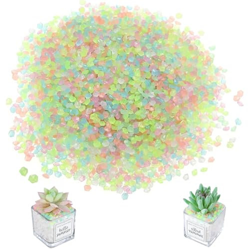 Yuqilin Cailloux Jardin Exterieur,10000 Pièces Lumineuses Galets Brillants Décoratifs Cailloux Aquarium Cailloux Decoratif Decoration Jardin Exterieur Décoration Aquarium Vase Decoratif(Coloré)
