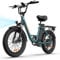 URLIFE E-Bike für Erwachsene, 20 * 3.0 Fetter Reifen Elektrofahrrad Für Stadtpendler, 48V 13Ah Austauschbarem Akku bis 100KM, 250W Motor mit LCD Display, 7 Gang Elektrofahrräder Für Herren Damen