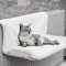 Unibos | ECO Radiator Cat Bed | Soft Warm Fleece Bed Basket | Cushy and Cuddly Bed | Hanging Bed for Radiators | Nice and Flat Bed | Metal Frame - Washable