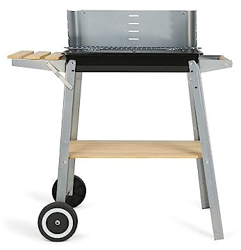 Livoo DOC244 Barbecue Charbon 3/4 Personnes, Surface de Cuisson 48 * 28 cm, Tablettes de Rangement