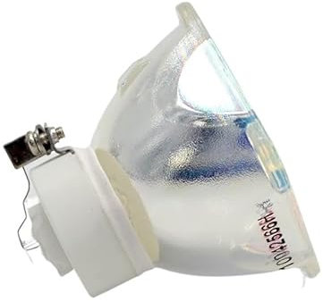 SAAKO Ampoule de projecteur NP14LP NP15LP NP07LP NP16LP, 500W Halogène ou Xénon, Warm White, Soft White, 12V DC, 6500K, Outdoor, Gu24, F15, 1 Unité