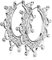eeddoo® Damen Creolen-Ohrringe aus Edelstahl mit filigranen Ornament Design ((1) Silber)