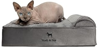 NOAH & PAW Small Dog Bed, 20x15x6.5 Inch, Cat Bed for Indoor Cats, Orthopedic Eggshell Memory Foam Infused with Cooling Gel, Waterproof, Machine Washable, Includes Inner Cover (Velvet Collection)