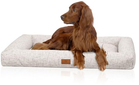 Knuffelwuff Box Hundebett Nivaro XXL 121 x 81cm Beige | gemütliches Hundebett mit Rand | weicher Webstoff waschbar 30 °C | formstabile Polsterung | Nicht orthopädisch | für Junge & aktive Hunde