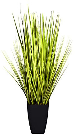 Greenbrokers Limited aogb-5306 – 36 20,3 x 20,3 x 99 cm Erba cipollina, Colore: Nero, (1)