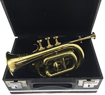 Trompete aus Messing mit Etui, für Zuhause, Wohnzimmer, Kunst, Made in Italy