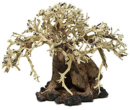 Bonsai Driftwood Aquarium Tree AWA Random Pick (8in Height) Natural, Handcrafted Fish Tank Decoration | Easy to Install