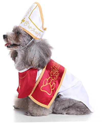 Hohopeti Hundekleidung Für Besondere Anlässe Haustier-Party-Outfit Hundemantel Patenkostüm Material Bequeme Passform Für Joggen Fotosessions