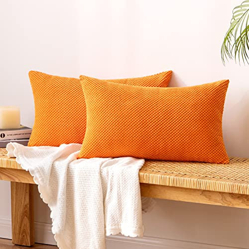 EMEMA Kordsamt Kissenbezug Herbst Dekorative Granulat Sofakissen Dekokissen Kissenbezüge Kissenhülle Couchkissen Überwurf Kissen Bezug Zierkissen für Couch Sofa Wohnzimmer 2er Set 40x60 cm Orange