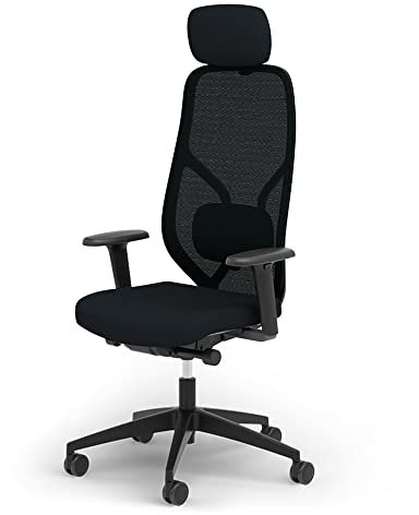 Ergotopia MasterBack Style ergonomischer Bürostuhl – Schreibtischstuhl ergonomisch mit 3D-Neigungsmechanik, 3D-Armlehnen & atmungsaktivem Mesh-Rücken – Perfekt als Drehstuhl für Büro & Home Office
