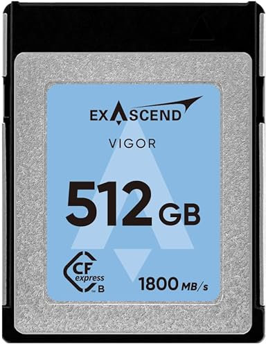VIGOR PRO-CINEMA 512GB CFexpress Type B Sustained Write Speed 1700MB/s, 8K RAW Video For Professional DSLR and Video Cameras Sustained Write Speeds For Cinema Performance Recording (VIGOR, 512GB)