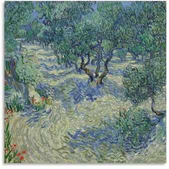 Van_Gogh Poster auf Leinwand, Motiv: The Olive Orchard