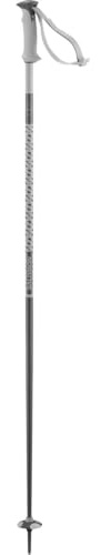 Salomon Unisex-Adult Polar Alpine Poles, Black, 100