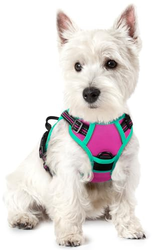 rabbitgoo Dog Harness Large Dog No Pull Pet Harness with 2 Leash Clips, Adjustable Soft Padded Pet Vest, Reflective No-Choke with Easy Control Handle for Training or Walking, Rose Red & Mint Green, XS