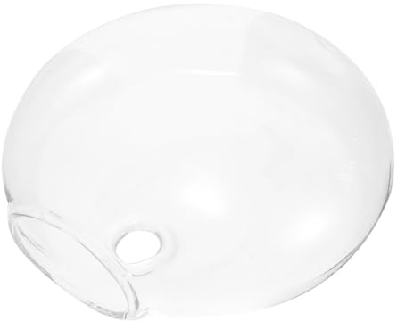 Hemobllo Vase Mural Verre Transparent pour Plantes Hydroponiques Pot Suspendu Polyvalent pour Fleurs et Décorations Murales Élégantes