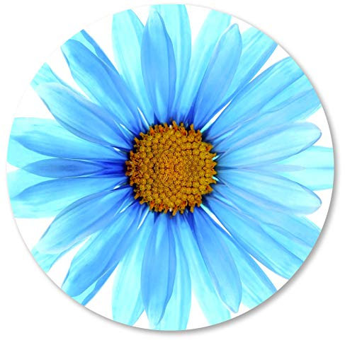 IMAYONDIA Tapis de Souris Rond pour Gamer - Motif Marguerites Bleues, Antidérapant en Caoutchouc, Mignon, Floral, Blanc, Petite Taille