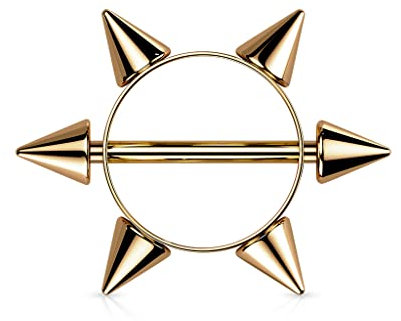 Brustwarzenpiercing 6 SPITZEN aus 316L Chirurgenstahl FARBWAHL Nipple Shield Brustpiercing (Rose Gold)