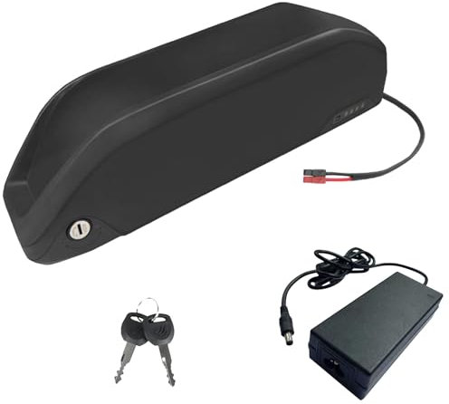 JHKJ Batterie au Lithium 48V 15Ah 20Ah Batterie Lithium-ION 48V avec Carte de Protection BMS et Chargeur Batterie de Tube Diagonal 48V pour Kits de Moteurs 700W-1000W,48v20ah