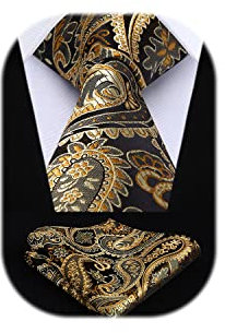 HISDERN Herren Krawatte Blumen Paisley Krawatte & Einstecktuch Set Gold Braun