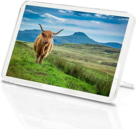 Flauschiger Highland Cow Classic Kühlschrankmagnet – Rind Schottland Tiere Geschenk #15513