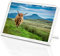Flauschiger Highland Cow Classic Kühlschrankmagnet – Rind Schottland Tiere Geschenk #15513