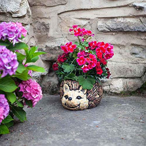 Flamboya 26cm Woodland Hedgehog Planter