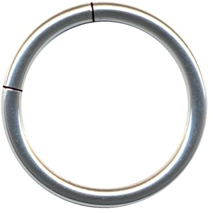 Generisch Segmentring TITAN G23 Piercing Ring Segment EDELSTAHL CHIRURGENSTAHL 316L Nase Septum Ohr Helix Lippe Augenbraue Intim Brust Tragus Piercingring Nasenring Hoop (1.2mm x 10mm, Titan Silbern)