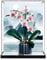Acrylic Display Case for LE-GO 10311 Orchid Model, for le-go display case, 3mm Dustproof Display Box, display box, Custom Display Case Storage Box, (Model Not Included) (Background Build)