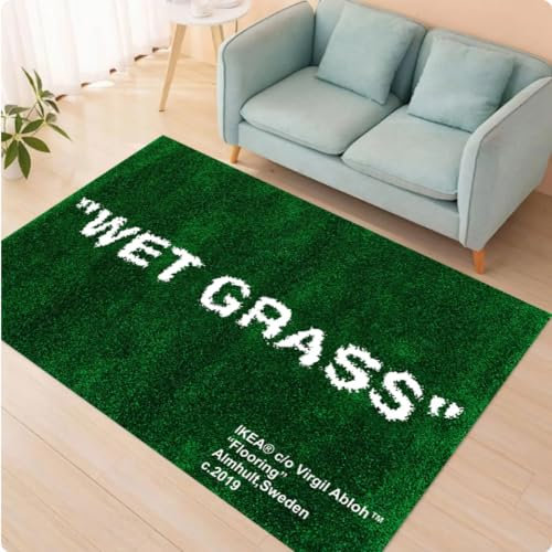ZHANGCHENG Gras-Nass-Teppich, Grasmuster Für Wohnzimmer, Personalisierter Bunter Teppich, Geschenk 60X90CM