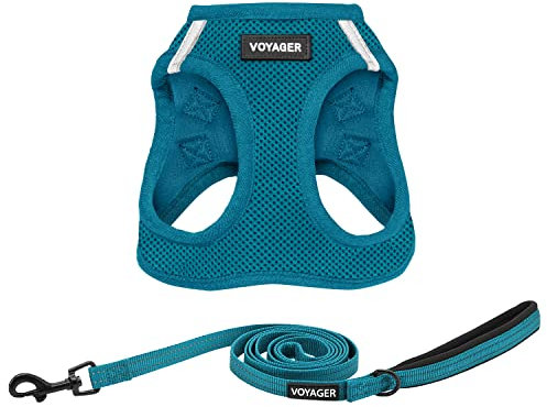 Voyager Step-in Air, Allwetter-Geschirr und reflektierendes Hundegeschirr, 1,52 m, Kombination mit Neoprengriff, für kleine, mittelgroße und große Welpen von Best Pet Supplies – Set (Türkis), XS