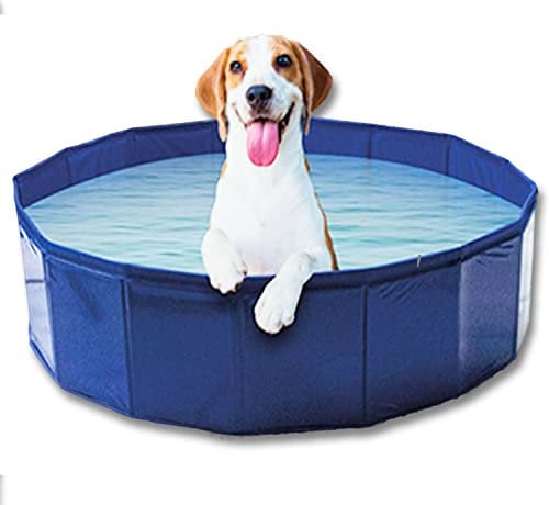Lizzy 1 x Pet Paddling Pool 80cm x 21cm (Small-Medium) | Foldable Dog Cooling Pool with Drainage Outlet | Durable Cut-Resistant PVC | Non-Inflatable Design for Easy Setup & Summer Fun
