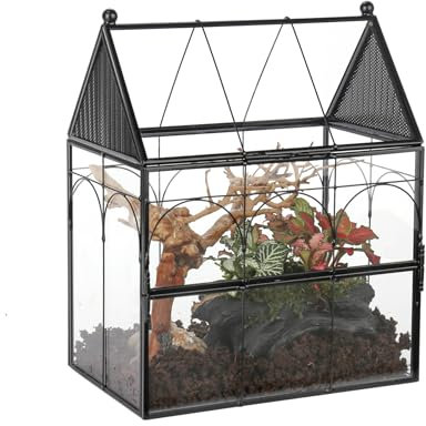 NCYP 19x12,5x23 cm Enclos en Verre avec Trous d'aération pour Insectes, araignées, escargots, Petite Porte fermée à Ouverture sur Le Devant, Habitat en Forme de Maison (Terrarium Uniquement)