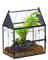 NCYP 19x12,5x23 cm Enclos en Verre avec Trous d'aération pour Insectes, araignées, escargots, Petite Porte fermée à Ouverture sur Le Devant, Habitat en Forme de Maison (Terrarium Uniquement)