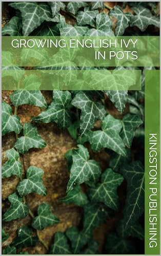 Growing English Ivy in Pots (Ornamental Plants)