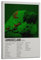 NUSLNG Kelvin Momo Album Amukelani Poster, dekoratives Leinwandposter, Wandkunst, Dekor, Wohnen, modern, Familienschlafzimmer, Dekoration, Poster, 30 x 45 cm, Rahmenstil