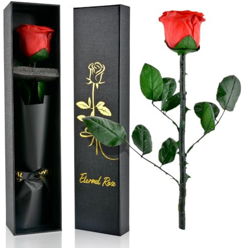 PLECUPE Rouge rose éternelle avec tige cadeau femme, véritable fleursRose infini en boîte, cadeau pour femme, rose stabilisé pour maman, petite amie, Saint-Valentin, fête des mères