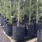 Root Pouch Bag/Pot/Growing Container Geotextile 12 GAL (45L)