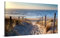 PICANOVA – Bild auf Leinwand Weg zum Meer 100x50cm – Leinwandbild – Premium Leinwanddruck – Wandbild Kunstdruck Auf 2cm Holz-Keilrahmen Wohnzimmer Wanddekoration – Strand
