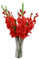 pistro Artificial Plants & Flowers Wedding Flower Gladiolus Flower Stem, 2 Leaves, 7 Gladiolus Flowers and 3 Buds. - Red, 80cm