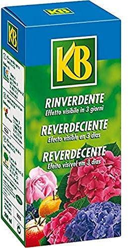 KB Rinverdente 200 ml
