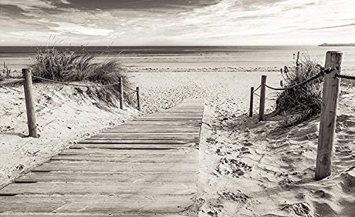 Forwall Fototapete Strand Meer Ostsee Natur Dünen Schwarz Weiß Wohnzimmer Schlafzimmer Vlies Tapete Wandtapete UV-Beständig Montagefertig (2024, V8 (368x254 cm) 4 Bahnen)