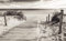 Forwall Fototapete Strand Meer Ostsee Natur Dünen Schwarz Weiß Wohnzimmer Schlafzimmer Vlies Tapete Wandtapete UV-Beständig Montagefertig (2024, V8 (368x254 cm) 4 Bahnen)
