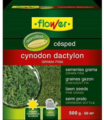 Semillas cesped cynodon dactylon 500gr 1-10796