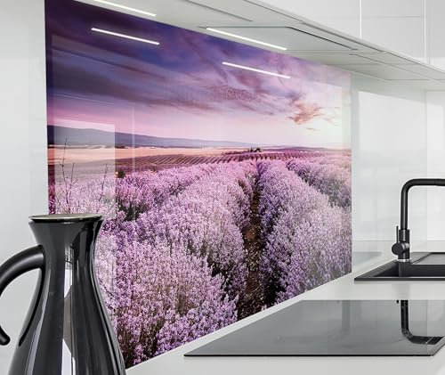 timalo Spritzschutz Wand für Herd, Küche Küchenrückwand Glasoptik | Acryl Glas 2mm | Glasrückwand Acrylglas Wandpaneele Rückwandschutz Platte | 160x50cm Lavendel Frankreich