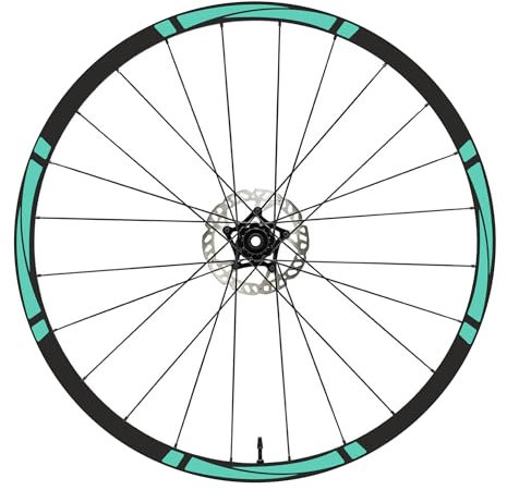 DualColorStampe Felgenaufkleber für Fahrrad, 26 Zoll – 27,5 Zoll – 28 – 29 Zoll (26 – 29 Zoll), Felgen MTB B0199 (Mint 55, 28-29 Zoll)